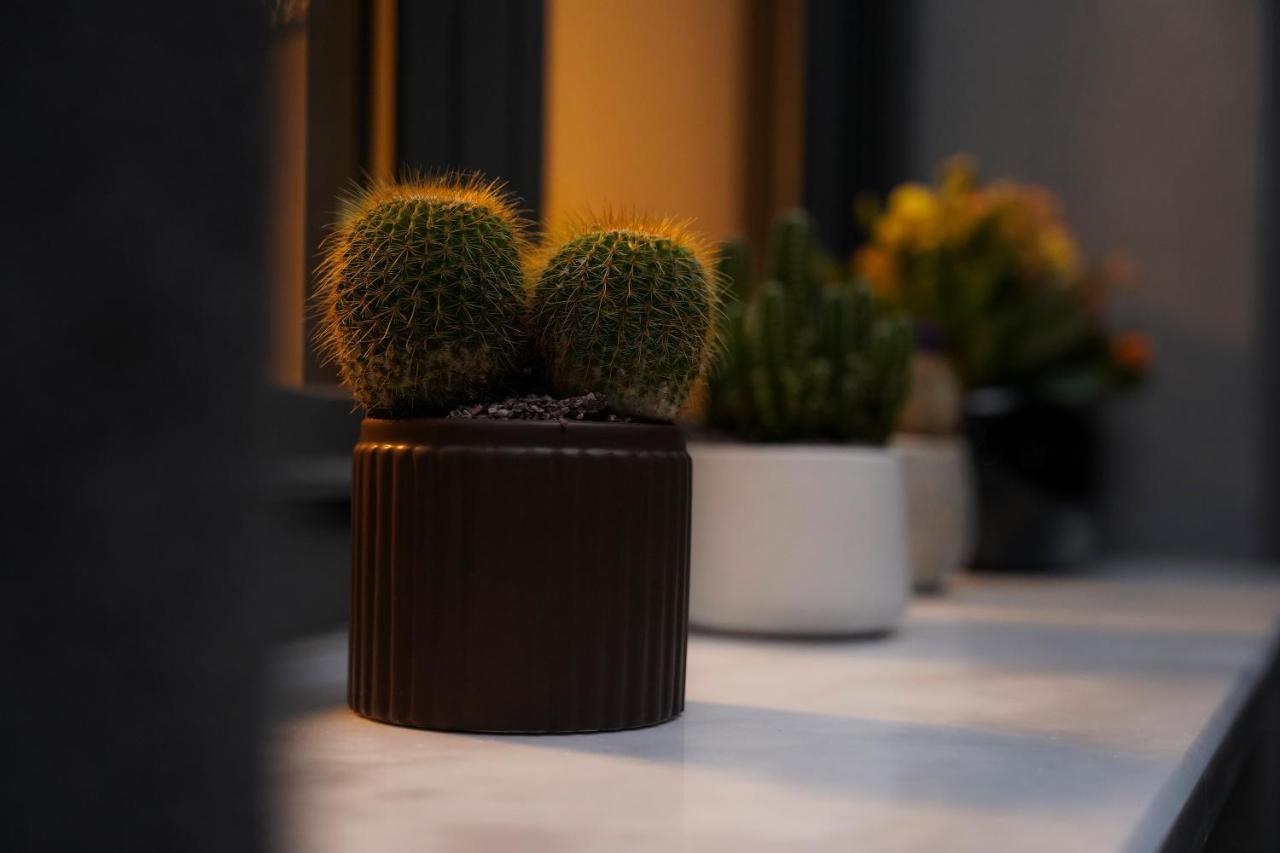 Quattro Luxury Apartments Tríkala Dış mekan fotoğraf